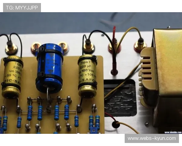 国际综合格斗联合会持续推动项目入奥，相关规则调整进行中